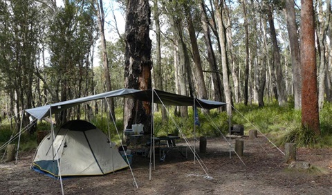 barokee-campground-01.jpg