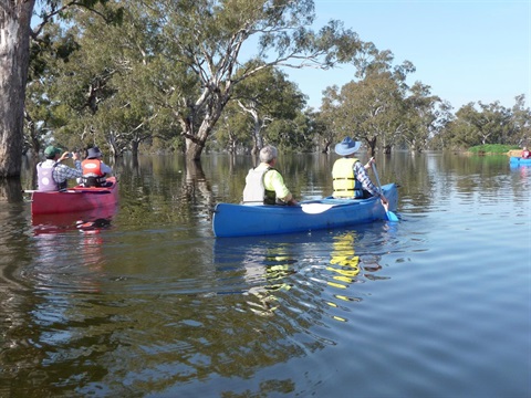 Doodle%20Cooma%20Swamp,%20Henty,%20Canoeing,%2019_05%20(2).JPG