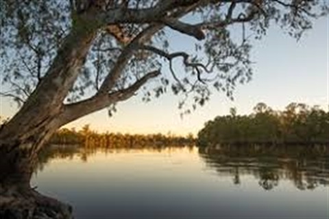 Murray river.jpg