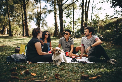 Picnic-outdoors.jpg